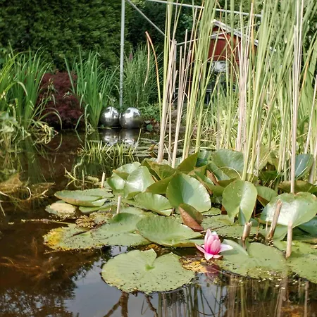 2 Engel Und Co Hello Holidays Апартаменты Бад-Цвишенан